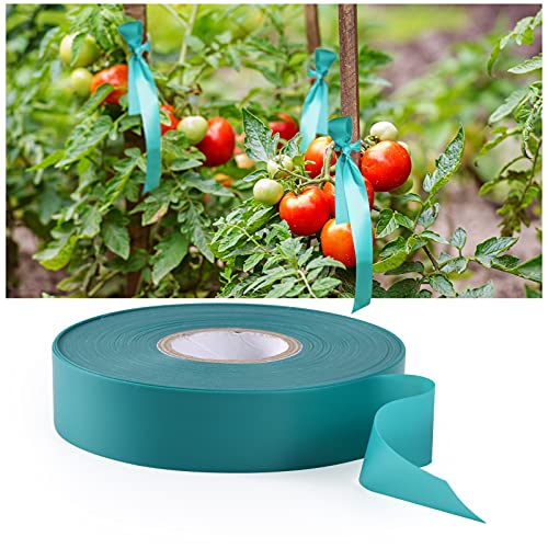 TELENT OUTDOORS Stretch Tie Tape, 1” Wide 200FT Reusable Garden Plant Ties Green Tapes for Plants, Thick Garden Vinyl Stake Ribbon for Branches Flowers Tomatoes Indoor Outdoor Greenhouse (Pack of 3) 200FT (Pack of 3)