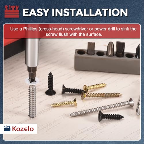 501pcs Phillips Flat Head Wood Screws with Screwdriver #6x1 Black