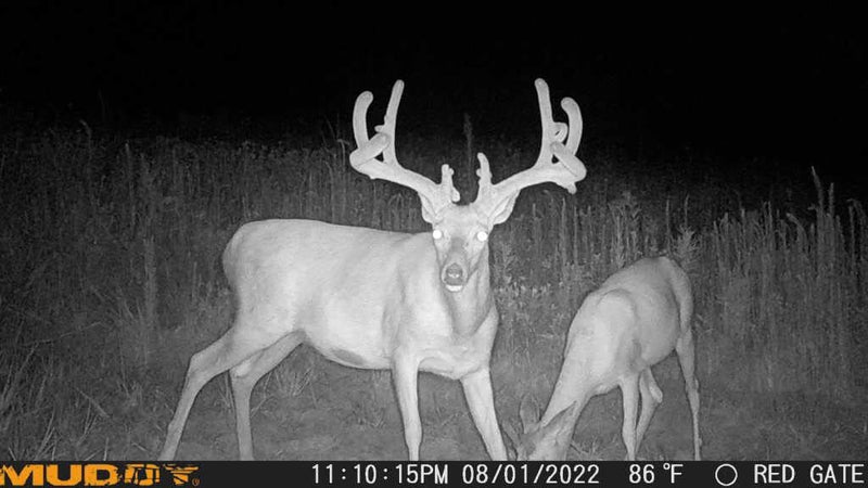 Muddy Matrix 36MP Imaging Cellular Trail Camera with On Demand Photo, Dual Network, and 80-Feet Detection Range (Mud) One Size