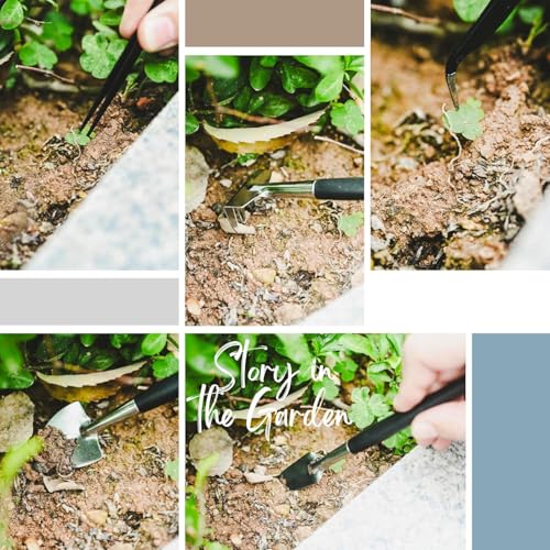 24 Piece Bonsai Tree Kit, Bonsai Trimming Tool Set, Bonsai Starter Kit, Carbon Steel Scissors Cutter Shears, Stainless Steel Rake Shovel, Gardening Pruning Tools, Gloves