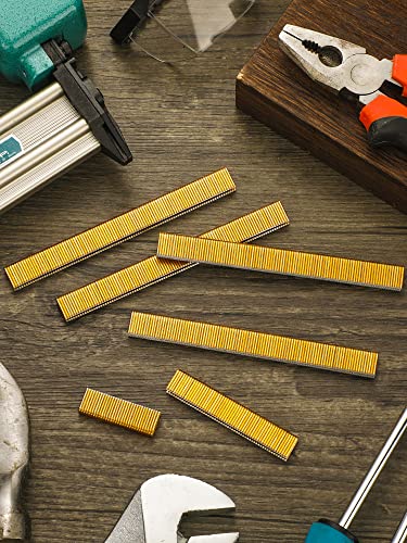 Tinlade 7500 Counts 18 Gauge 1/2 x 1/4 Inch Gold Galvanized Finish Narrow Crown Staples for Pneumatic, Electric Stapler/Brad Nailer