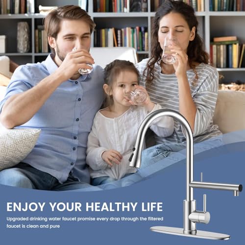 FEELSO Kitchen Faucets with Filter + 2 Pack Replacement Filters FL1
