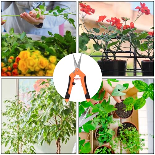 15 Pack 6.5 Inch Orange Garden Pruning Scissors, Stainless Steel Blades Hand Pruner, Sharp Point Gardening Shears Cutter, A Must-have Gardening Pruning Shear, Supplies & Accessories