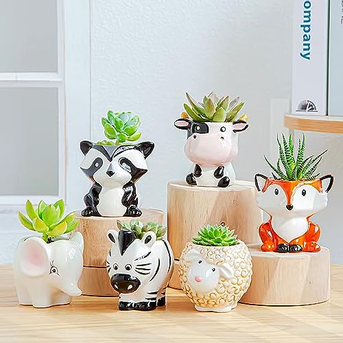 Melphoe Succulent Tools and Ceramic Succulent Pots