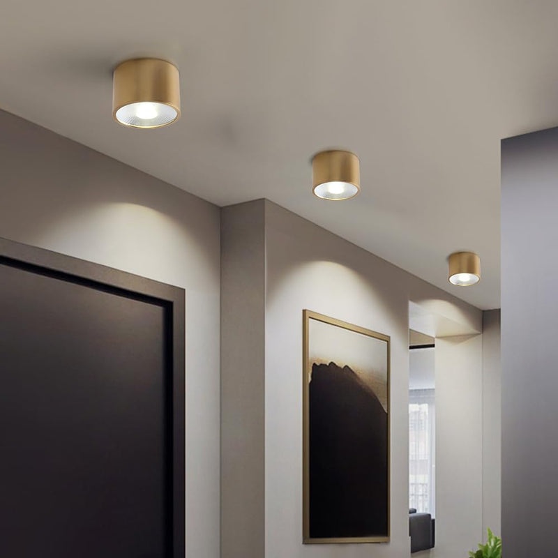 Sedelan Brass Ceiling Spot Lights Indoor, LED Ceiling Spot Light, Cylinder Small Ceiling Spotlight, Dimmable Ceiling Lights for Kitchen Hallway Dining Room Foyer, 4500K 7W LED Light-D4.72"