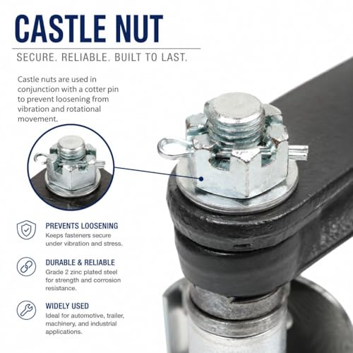 3/4-10 Castle Nut, Zinc Plated Grade 2 Steel, Coarse Thread, Slotted Hex Lock Nut, 20 Pack