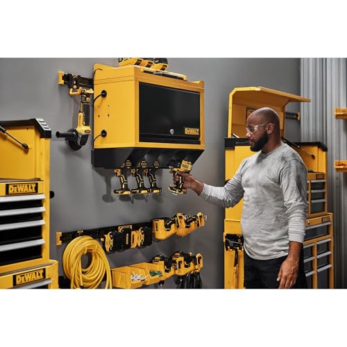 DEWALT Tool Organizer, Wall Mount, 48 Inch Metal Rail, DEWALT Workshop Storage System Compatible (DWST82800)