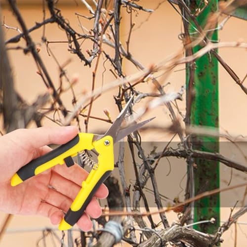 15 Pack 6.5 Inch Yellow Garden Pruning Scissors, Stainless Steel Blades Hand Pruner, Sharp Point Gardening Shears Cutter, A Must-have Gardening Pruning Shear, Supplies & Accessories