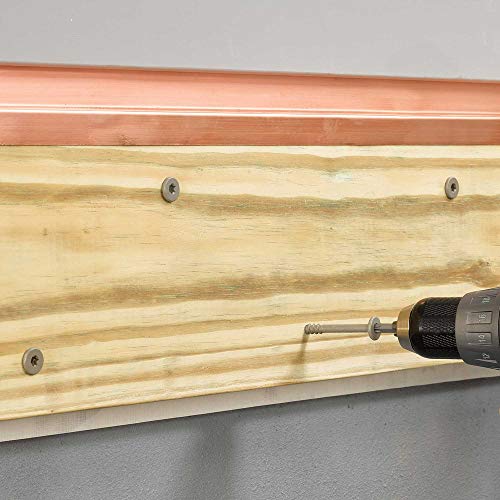 FastenMaster LedgerLok Flat Head Wood Screw - Box of 50-5"