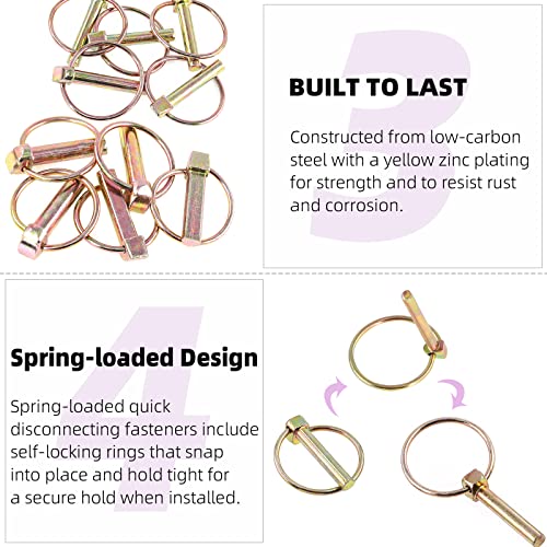Swpeet 50Pcs 4 Sizes Spring-Loaded Lynch Pin Linch Pin and Stainless Steel Lanyard Cables and Quick Release Ring with 410 Stainless Steel Self Drilling Sheet Metal Screws Kit Assortment Kit