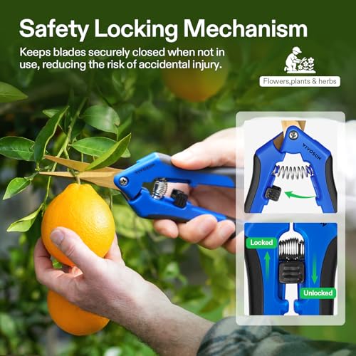VIVOSUN 6.5 Inch Garden Scissors, Blue Pruning Shears for Plants, 12-Pack Blue Curved Blade