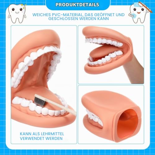 Dental Model Dental Model, Hand Puppet, Teeth Mouth Model with Toothbrush, Demonstration Anatomical Tooth Model for Dental Teaching or Oral Care