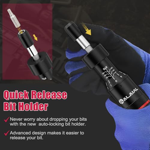 Torque Screwdriver Set 10-60 in-lb, Adjustable Torque Driver Kit 10-60 Inlb(Red)