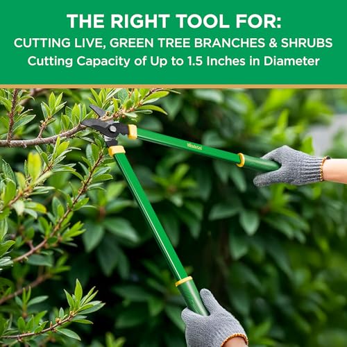 Miracle-Gro 24 in. Bypass Lopper for Tree Branch Trimming and Pruning – Heavy-Duty Branch Cutter with Ultra-Sharp Carbon Steel Blade, 1.5 in. Cutting Capacity and Comfort Grip Handles Bypass Lopper 24"