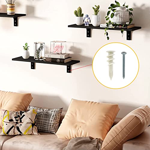 3 Sizes Self Drilling Drywall Anchors, 310PCS Nylon Plastic Wall Anchors and Screws for Drywall, No Pre Drill Hole Preparation Required,13x32mm,15x33mm,13x42mm 3