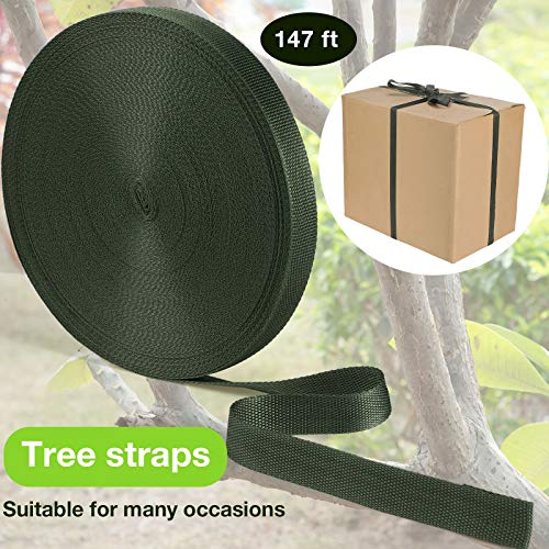 Shappy Tree Tie Strap Garden Webbing Strap Garden Plant Supports Tree Tie Staking and Guying for Outdoor Use, Plant Supports, Grafting, Straightening Supplies(Dark Green,443 Feet x 1 Inch) 443 Feet x 1 Inch Dark Green