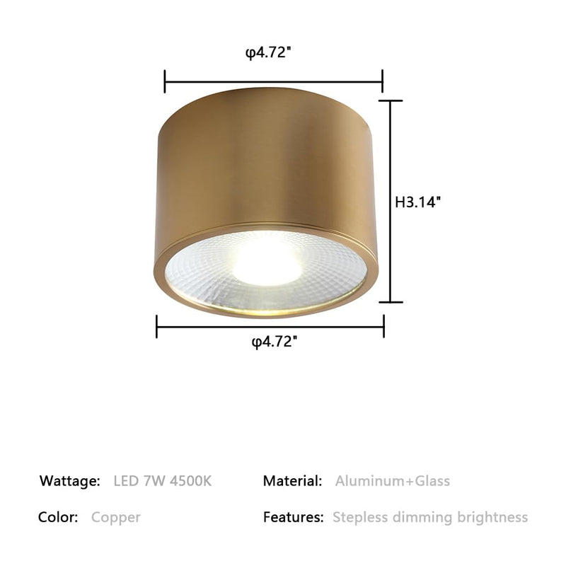 Sedelan Brass Ceiling Spot Lights Indoor, LED Ceiling Spot Light, Cylinder Small Ceiling Spotlight, Dimmable Ceiling Lights for Kitchen Hallway Dining Room Foyer, 4500K 7W LED Light-D4.72"