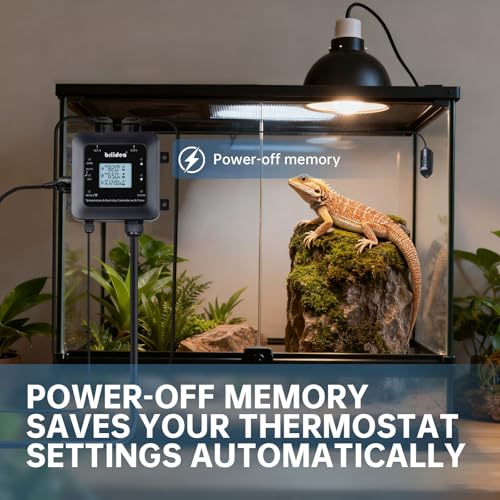 Briidea Smart WiFi Temperature and Humidity Controller with Timer Outlet, 3-in-1 Reptile Thermostat Hygrostat, App Control via Dual-Band 2.4G/5G WiFi for Greenhouse, Incubator, Mushroom, and Homebrew