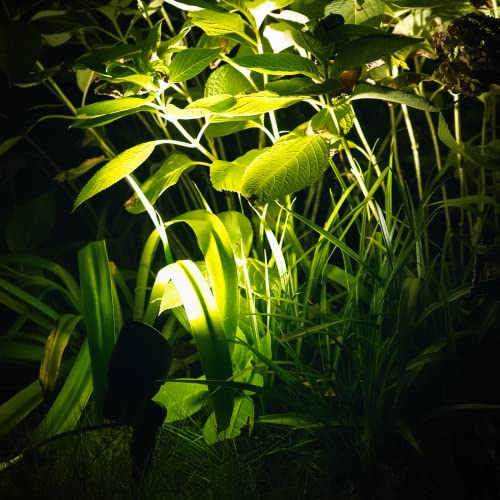 Malibu 6 Watt LED Floodlight, Landscape Lighting Outdoor Spotlight Waterproof Lighting for Driveway, Yard, Lawn, Flood, Garden, Outdoor Lighting