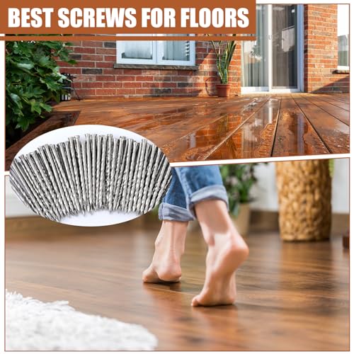 Tandefio 300 Pcs Stainless Steel Flooring Nails, 2-1/4 Inches, Silver