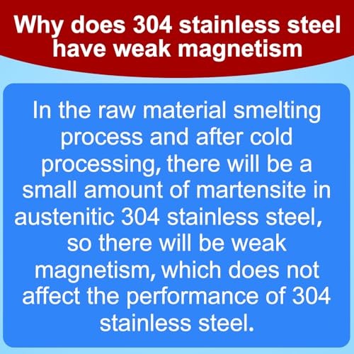 304 Stainless Steel 21 Degree 3-1/4 Inch Framing Nails,250-Pack 3-1/4"--250 pcs