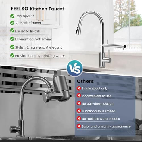 FEELSO Kitchen Faucets with Filter + 2 Pack Replacement Filters FL1