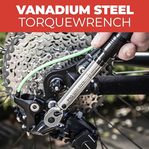 PRO BIKE TOOL 1/4 Inch Drive Click Torque Wrench Set - Precise 2 to 20 Nm Bike Tool Kit for Road and Mountain Bikes - Includes 1/4 Torque Wrench, Allen, Torx Bits, Extension Bar and Storage Box Silver