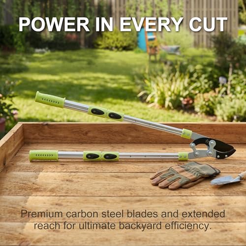 BeBecome 25"- 43" Tree Trimmer, Heavy Duty Bypass Loppers for Tree Branches, Sharp Steel Pruning Shears for 2 Inch Cutting, Garden Tool for Yard Trimming