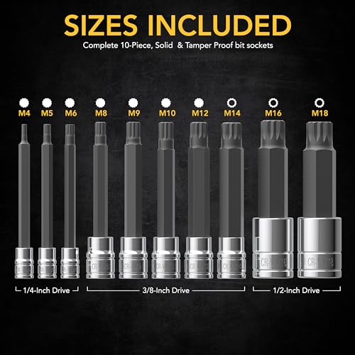LEXIVON XZN Triple Square Spline Bit Socket Set, Extra Long 4-Inch | 10-Piece European Style M4 - M18, Premium S2 Alloy Steel | Enhanced Storage Case (LX-145L)