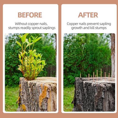 20 Pcs Copper Nails for Killing Trees, Stumps & Roots, 3.15 Inch Long Pure Copper Nails Bulk, Stump Removal Spikes with 1 Pcs 3.15 Inch Long Steel Nail and 1 PCS Drill (3.15 inches) 3.15 inches