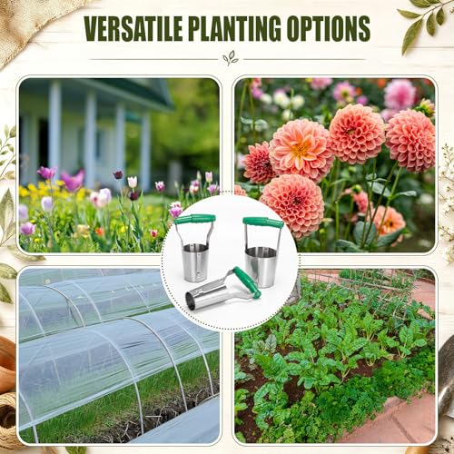 SiliFine 3 Sizes Bulb Planter Set (4.5", 3.7", 2.8") Stainless Steel