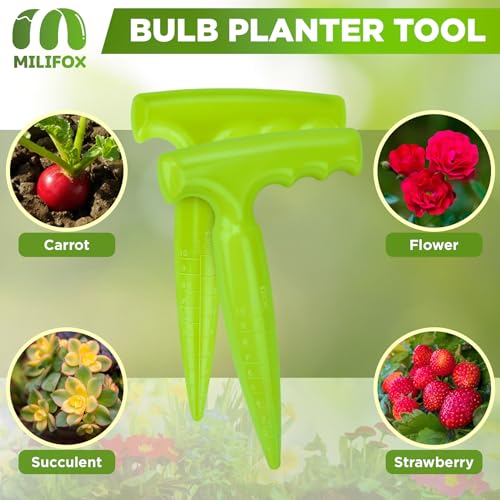 Dibbler Gardening Tool with Measurements - Bulb Planter Tool