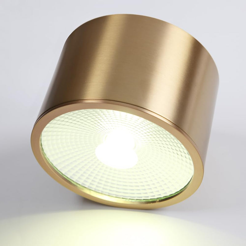 Sedelan Brass Ceiling Spot Lights Indoor, LED Ceiling Spot Light, Cylinder Small Ceiling Spotlight, Dimmable Ceiling Lights for Kitchen Hallway Dining Room Foyer, 4500K 7W LED Light-D4.72"