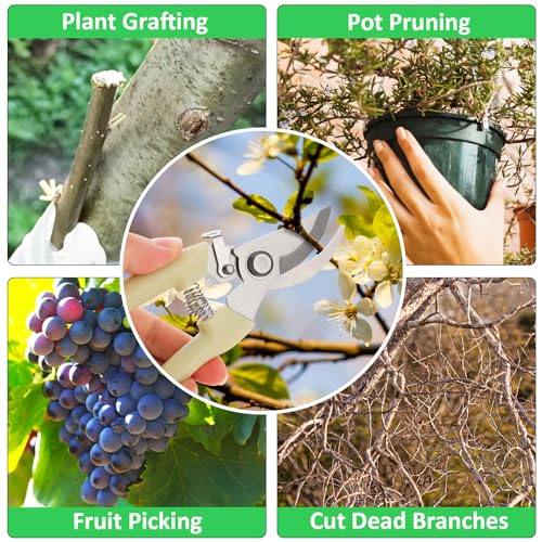 20 Garden Flower Shears Pruning Scissors Heavy Duty Plant Scissors Trimming Garden Clippers Hand Tree Pruner for Yard Gardening Plants Hedge Flower Tree Cutting Secateurs (Beige)