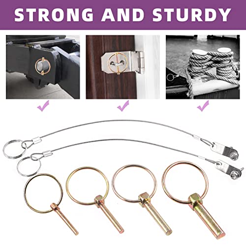 Swpeet 50Pcs 4 Sizes Spring-Loaded Lynch Pin Linch Pin and Stainless Steel Lanyard Cables and Quick Release Ring with 410 Stainless Steel Self Drilling Sheet Metal Screws Kit Assortment Kit