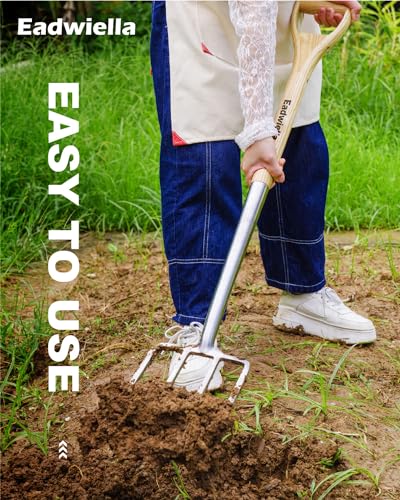 Garden Fork Hand Tool Small Weeding Fork 12 Inch with 3 Pointed Tines Wood Handle for Gardening Weeding Cultivating Digging Planting Transplanting Aerating Loosening Hard Soil Mixing Additives + Pitch