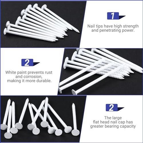 Tandefio White Trim Nails 304 Stainless Steel Panel Nails 2 lb, 1-1/4 Inch