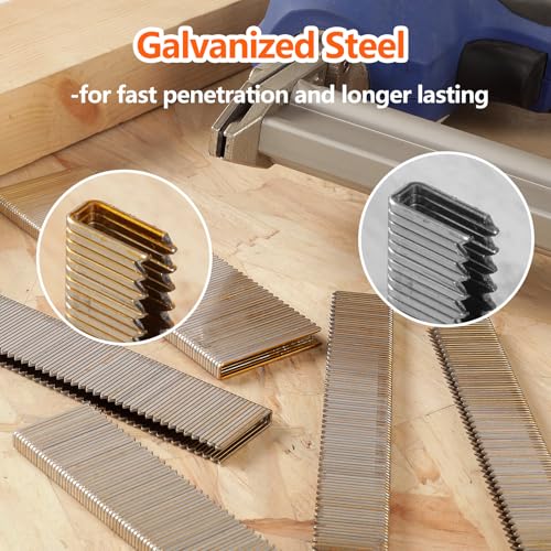 2000-Count 18 Gauge 1/4" Narrow Crown Staples 1-1/2" Leg Galvanized 1-1/2" yellow