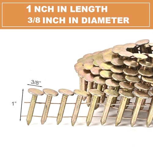 15 Degree Coil Roofing Nails 1"x .120" for Roofing Nail Gun 600 Pcs 1 inch