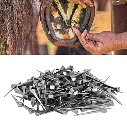 250Pcs Steel E3 Horseshoe Nails,Stained Glass Making Nails and Horse Race Square Head Nails for Securing Glass