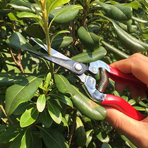 gonicc 8" Professional Sharp Bypass Pruning Shears(GPPS-1002) and Micro-Tip Pruning Snip (GPPS-1008), Tree Trimmers Secateurs,Hand Pruner, Garden Shears,Clippers for The Garden.