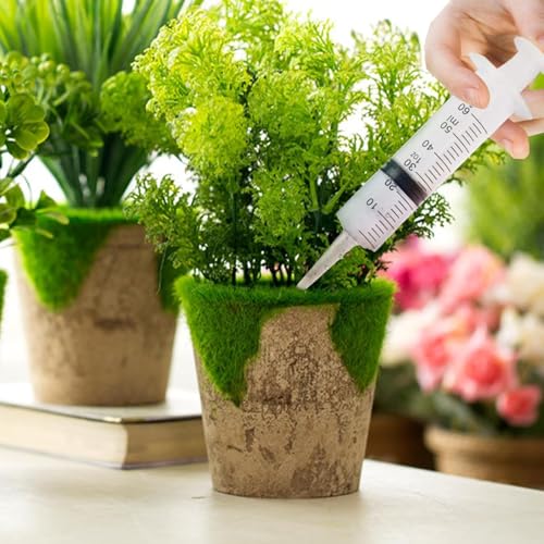 Syringes 60 ml Pack of 5 Dosing Syringes Plastic Syringe | With caps, individually packaged, reusable, precise dosage, for laboratory, animal feeding, plants and DIY Spritze 60ml×5