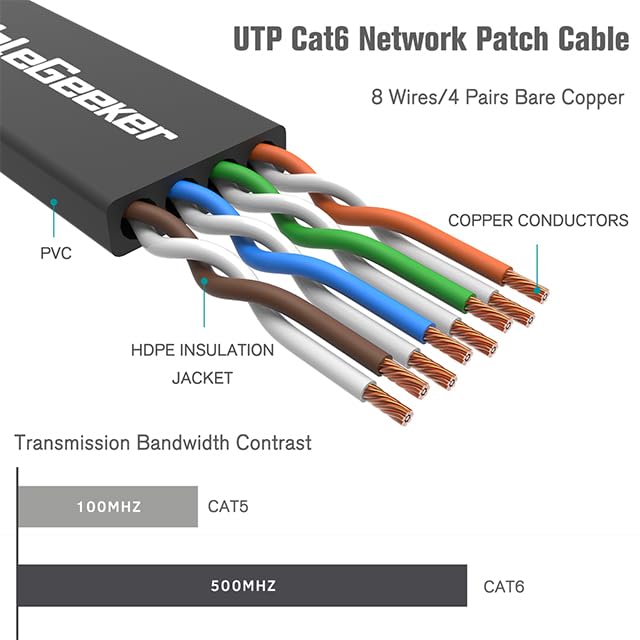 Cat 6 Ethernet Cable 100 ft, Indoor&Outdoor, High Speed 10Gbps Flat Internet Network Cable, Cat6 Ethernet Patch Cable Long, Black Computer LAN Cable with Clips & Straps for Router, Modem, PS4/5 100ft