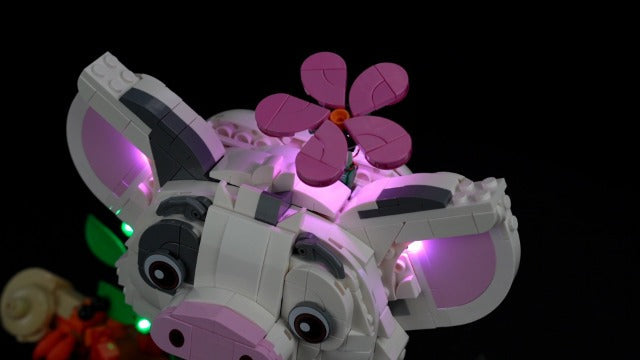LED Lighting Set Compatible with Lego Pua Moana's Pet Pig, Building Blocks Not Included, Light Kit Compatible with Lego 43292 43292-Pua