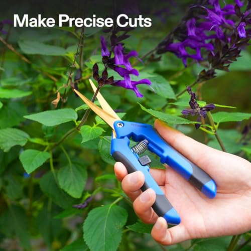 VIVOSUN 6.5 Inch Garden Scissors, Blue Pruning Shears for Plants, 12-Pack Blue Curved Blade