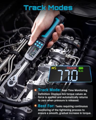 Seesii Digital Torque Wrench 3/8" Drive (2.95-99.6 ft.lbs / 4-135 N.m)