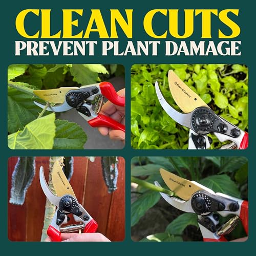 Haus & Garten EnduroPRO Titanium Bypass Pruning Shears and Replacement Blade Bundle