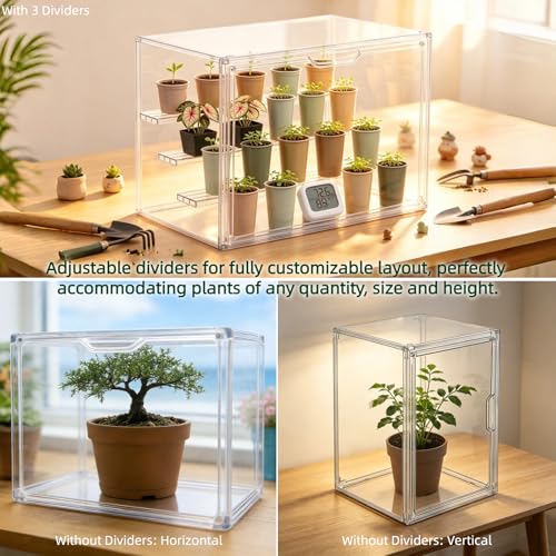 4-in-1 Seed Starter Kit with Mini Greenhouse & Tools