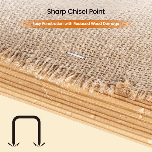meite 1/2" Galvanized T-50 Staples - 5,000 Counts and Assorted 3 Sizes (1/4", 3/8", 1/2") Stainless Steel T-50 Staples - 2,520 Counts
