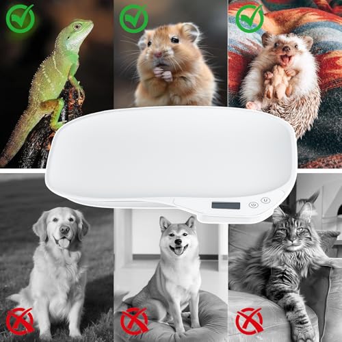 Digital Pet Scale, Weighing Scales up to 15 Kg for Puppy